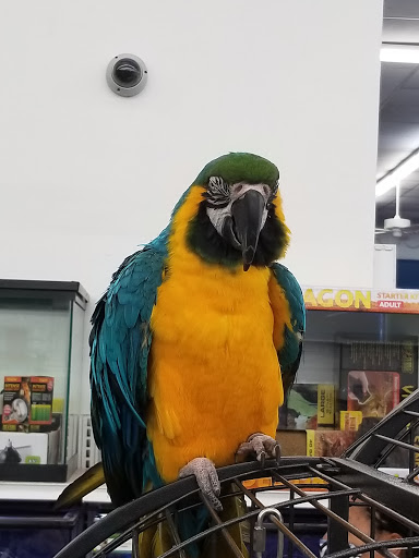 Pet Store «B & B Pet Stop, Inc.», reviews and photos, 5035 Cottage Hill Rd, Mobile, AL 36609, USA