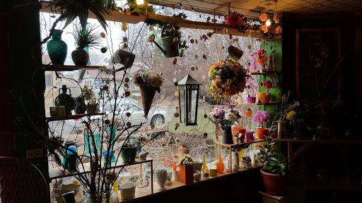 Florist «Acanthus Floral Art», reviews and photos, 3932 Cedar Ave S, Minneapolis, MN 55407, USA