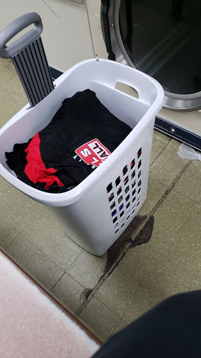 Laundromat «Sparkle Wash», reviews and photos, 3511 Kutztown Rd, Reading, PA 19605, USA