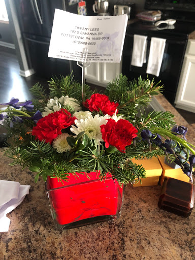 Phoenixville Flowers, 137 Nutt Rd, Phoenixville, PA 19460, USA, 
