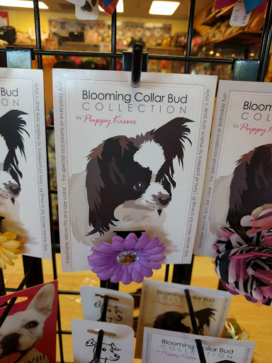 Pet Supply Store «Top Dogs Pet Boutique», reviews and photos, 2615 George Busbee Pkwy NW #14, Kennesaw, GA 30144, USA