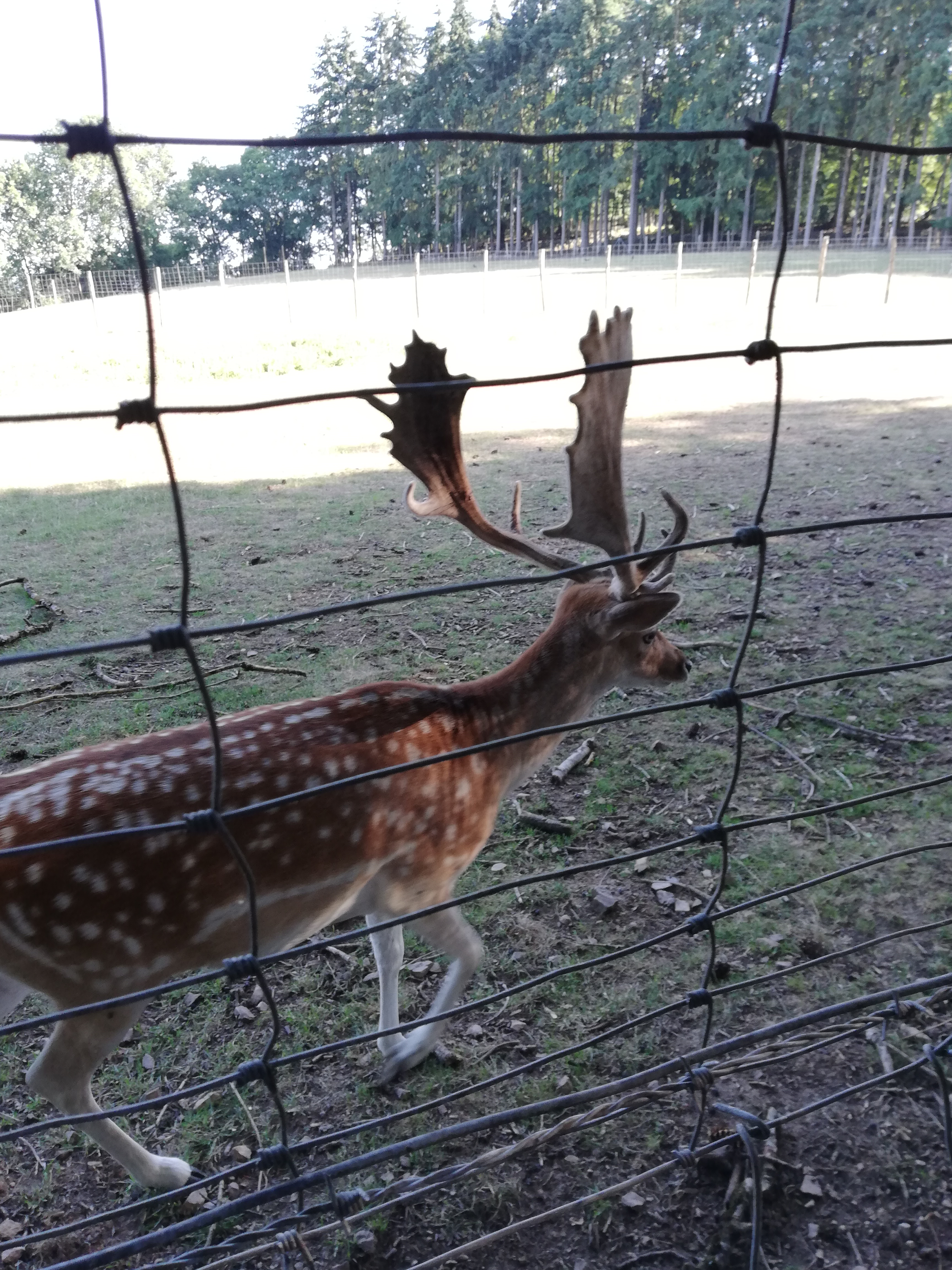 Photo n° 1 de l'avis de E. fait le 08/09/2019 à 11:35