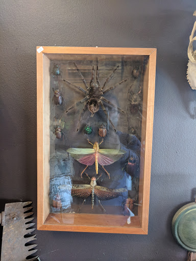 Tattoo Shop «Triple Diamond Tattoo», reviews and photos, 257 3rd Ave, Brooklyn, NY 11215, USA