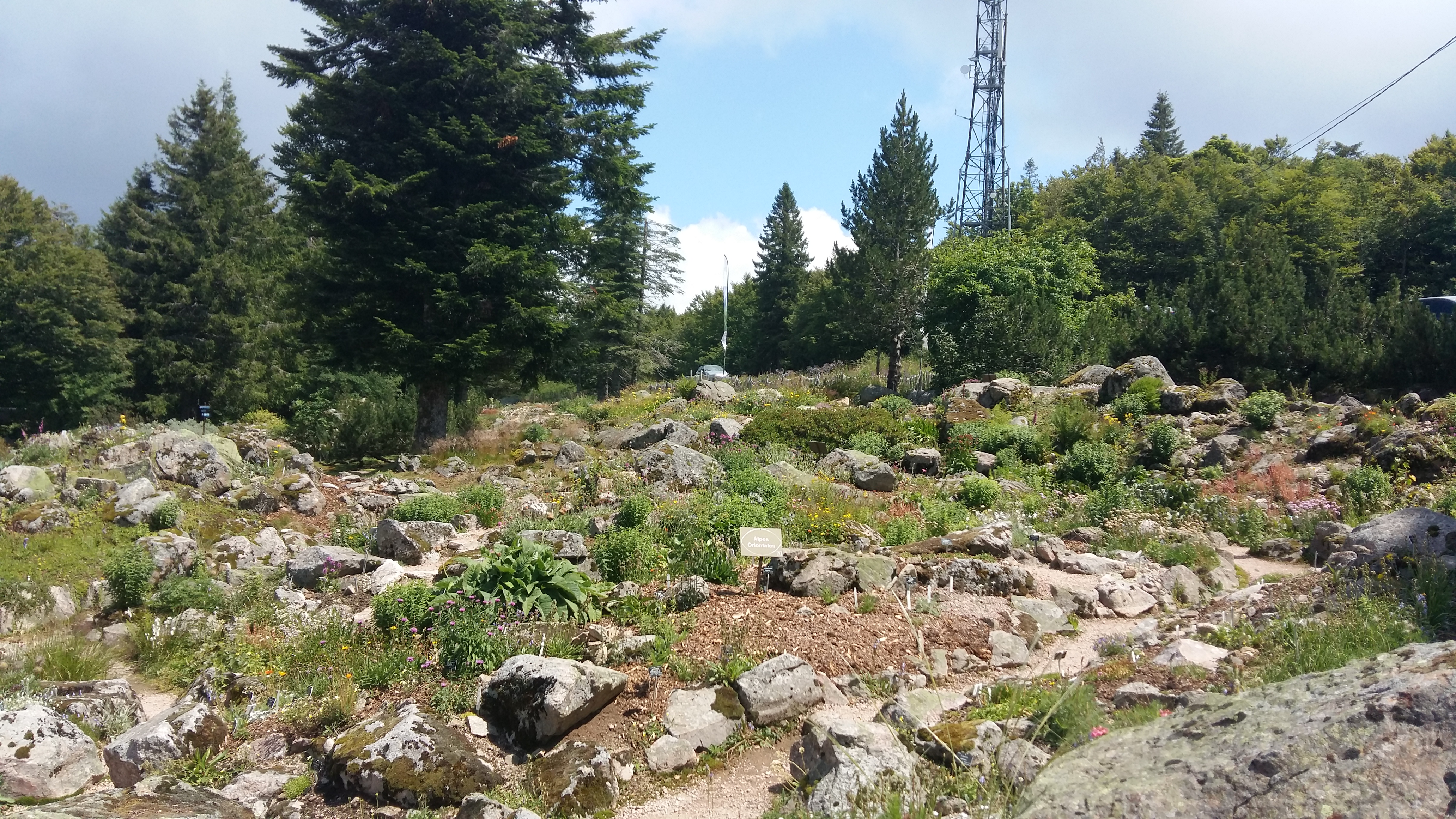 Photo n° 1 de l'avis de Aurore.R fait le 15/07/2019 à 23:25