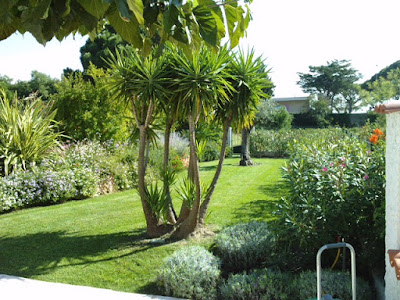 Jardin d'eden entretien à Donzère