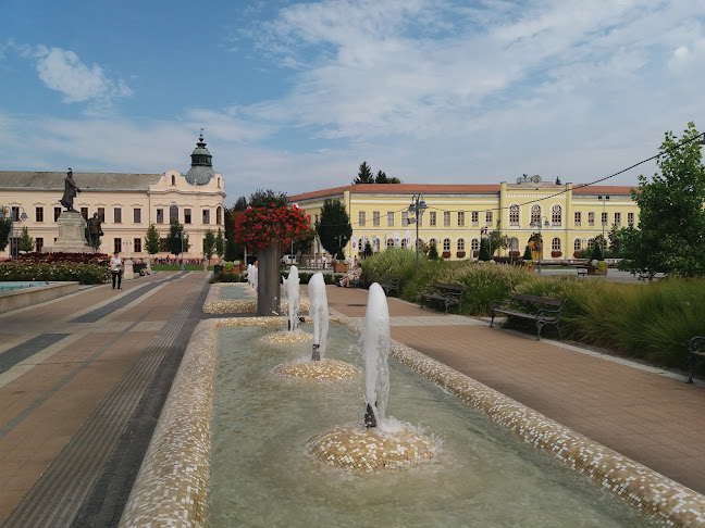 Hajdúböszörményi Bocskai István Gimnázium - Iskola
