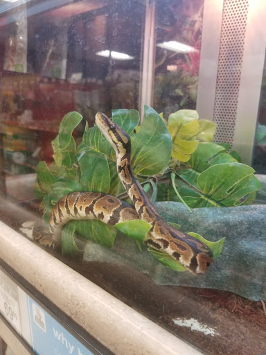 Pet Supply Store «Petco Animal Supplies», reviews and photos, 3380 124th Ave NW, Coon Rapids, MN 55433, USA