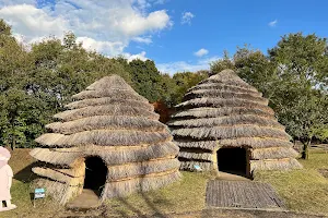 上野原縄文の森展示館 image