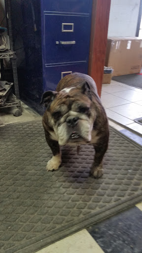 Auto Body Shop «Maaco Collision Repair & Auto Painting», reviews and photos, 1998 NW 92nd Ct, Clive, IA 50325, USA