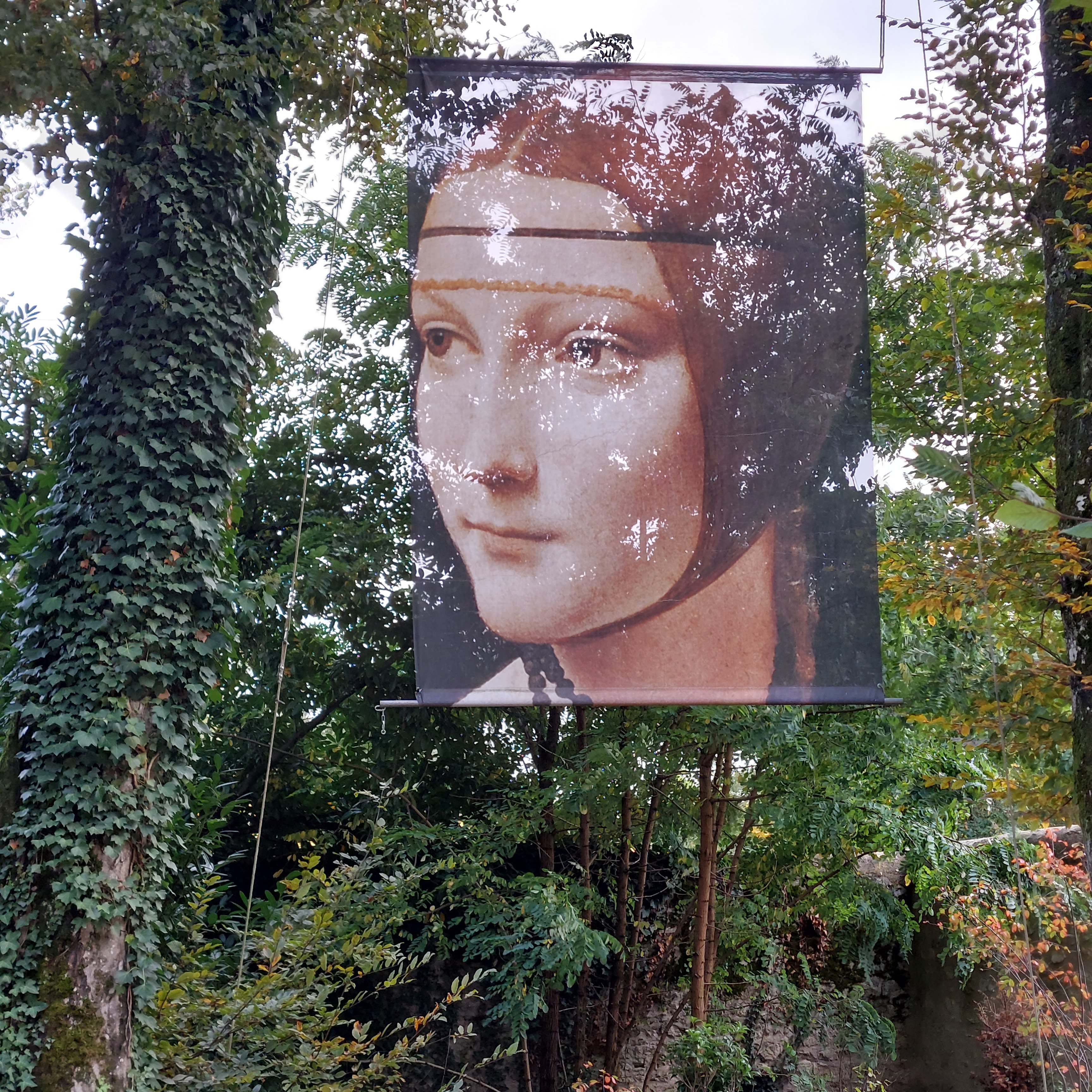 Photo n° 2 de l'avis de Lilipop. fait le 29/10/2023 à 14:10