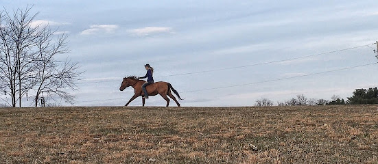 Bella Run Equine