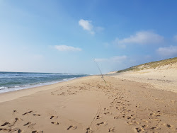 Photo de Plage de la Torchère zone sauvage