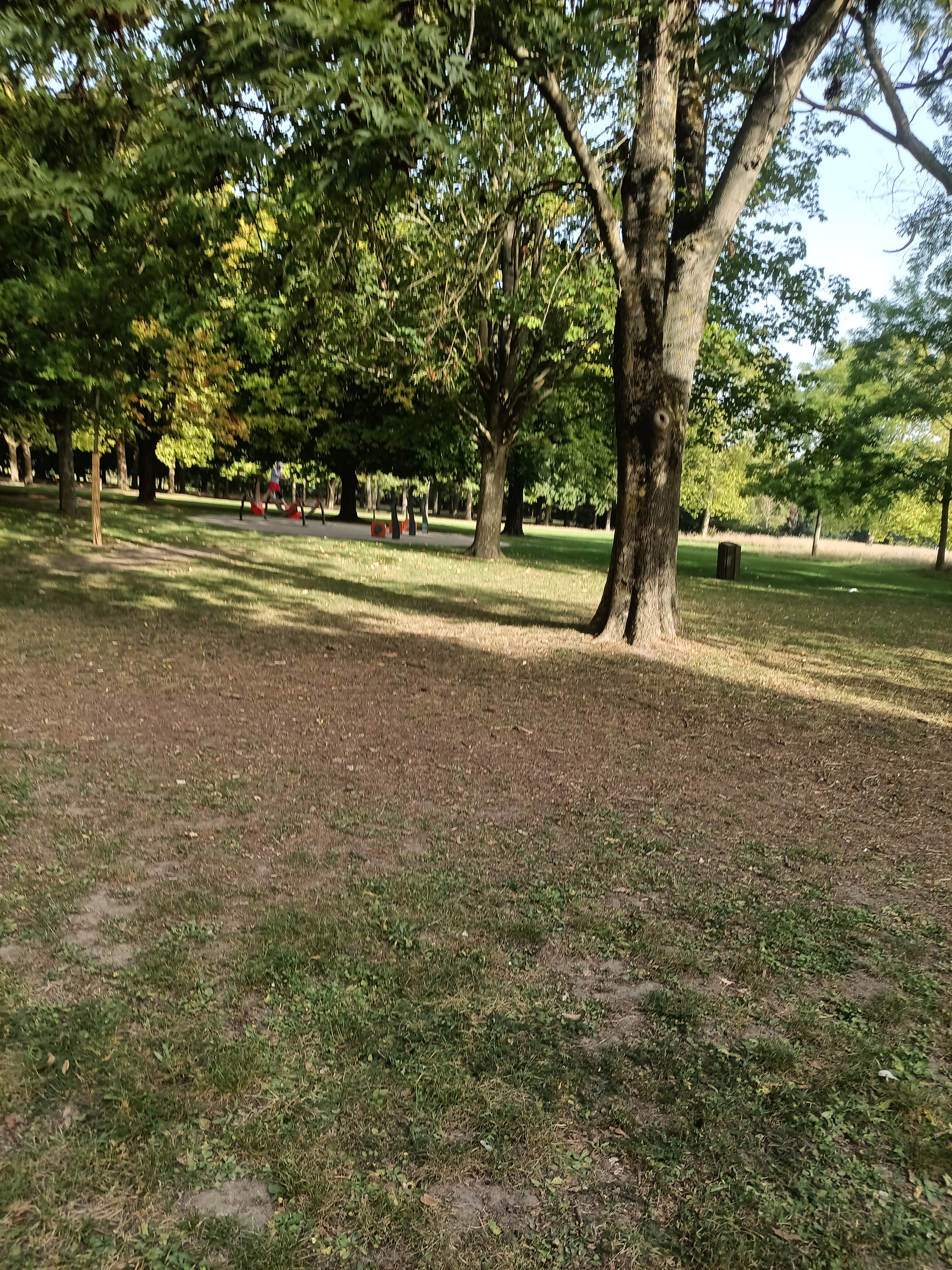 Photo n° 17 de l'avis de ini.e fait le 29/07/2023 à 12:14