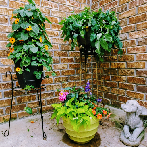 Florist «Petals of Love», reviews and photos, 5350 W 130th St, Brook Park, OH 44142, USA