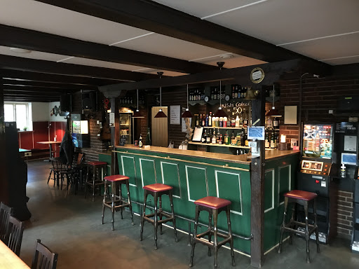 The Goose in Faaborg, Horsens