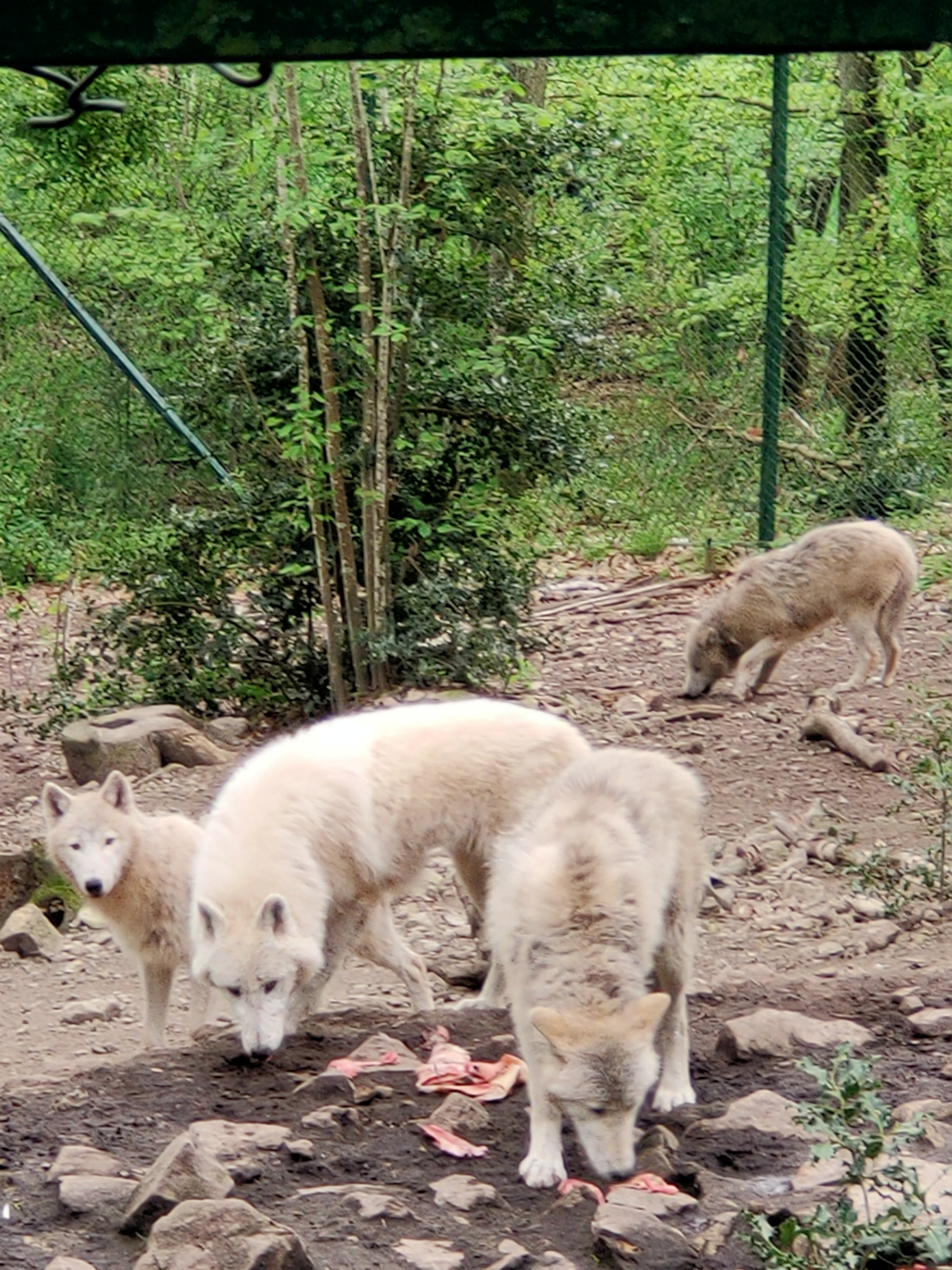 Photo n° 5 de l'avis de Celine.h fait le 06/05/2023 à 15:19