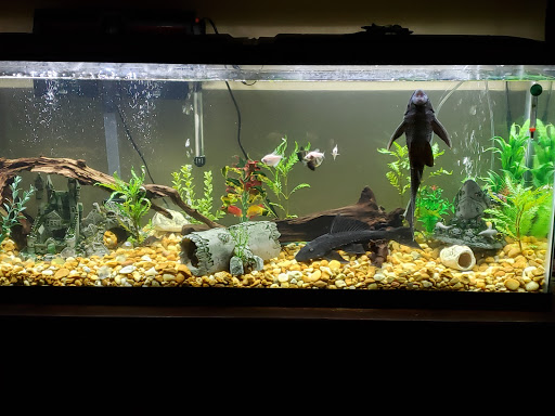 Pet Supply Store «Petco Animal Supplies», reviews and photos, 1753 St Lucie W Blvd, Port St Lucie, FL 34986, USA