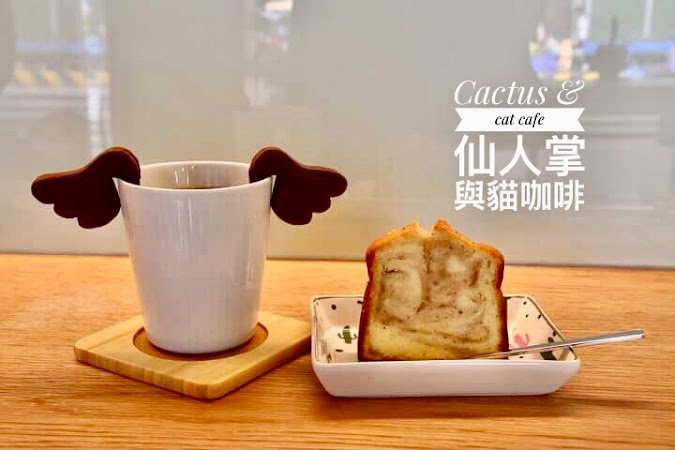 Cactus&Cat Cafe 仙人掌與貓咖啡