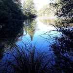 Photo n° 1 de l'avis de Claude.e fait le 11/10/2019 à 11:14 pour La Gelinotte à Faucogney-et-la-Mer