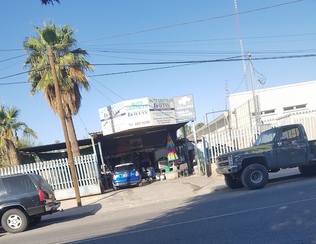 Auto Cristales Gaytán