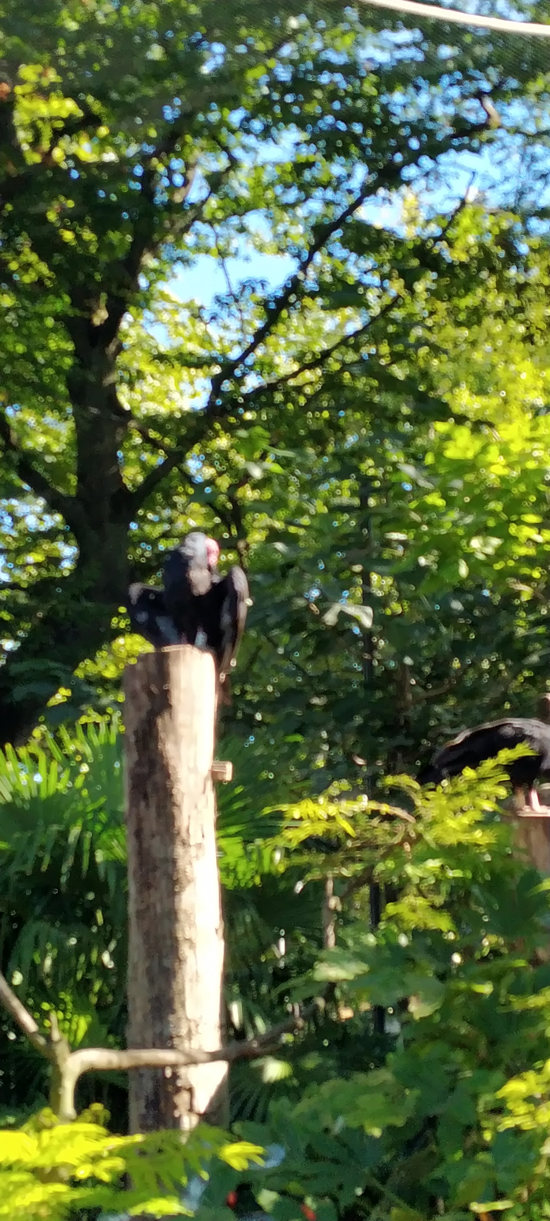 Photo n° 6 de l'avis de Bernard.e fait le 12/09/2022 à 09:16