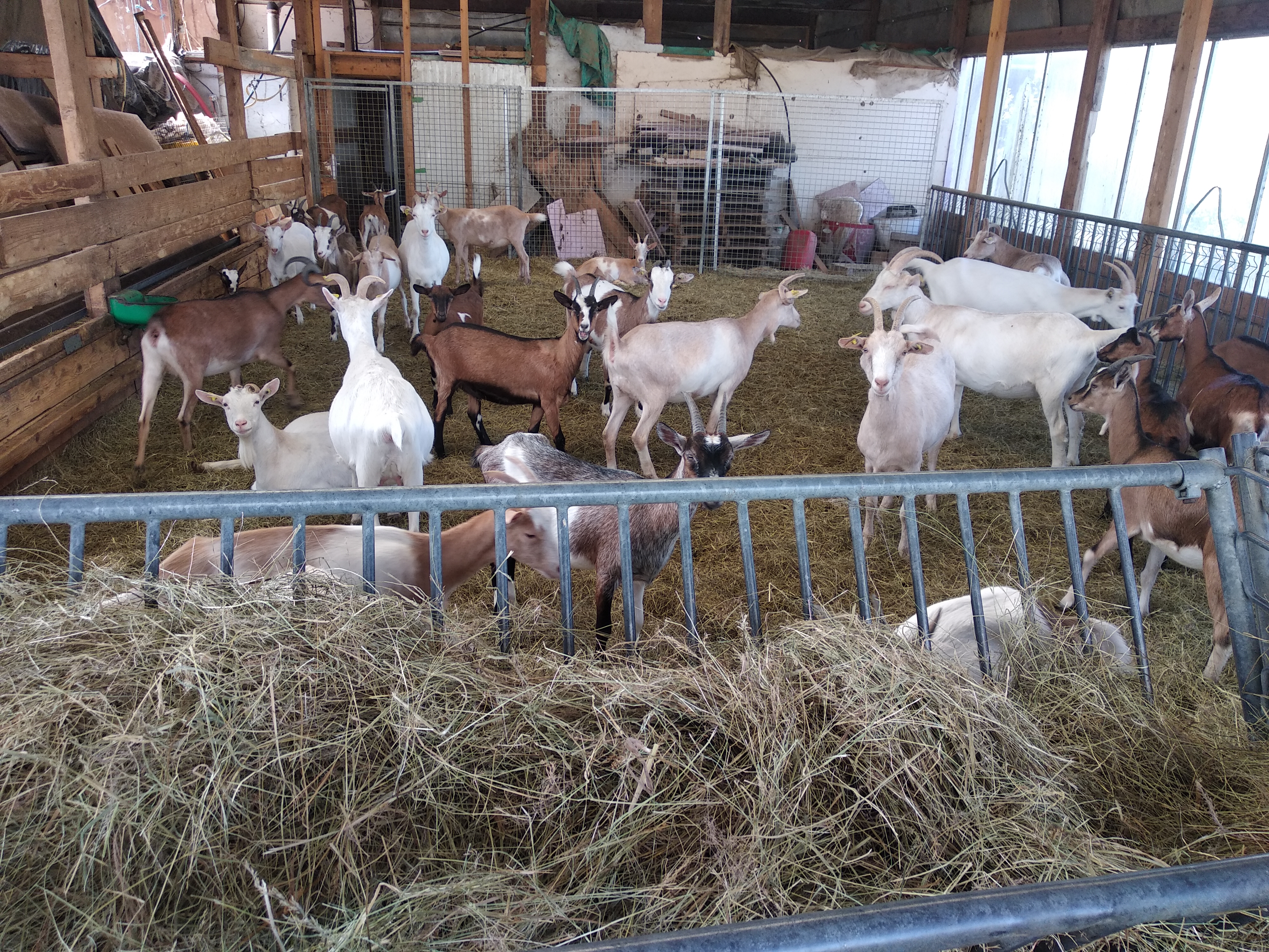 Photo n° 2 de l'avis de gerard.a fait le 07/09/2020 à 15:59