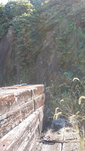 Childrens Theater «Asheville Creative Arts», reviews and photos, 375 Depot St, Asheville, NC 28801, USA