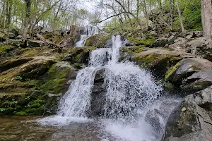 Dark Hollow Falls, Shenandoah National Park image