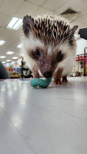 Shopping Mall «Hampton Plaza Shopping Center», reviews and photos, 4033 W Mercury Blvd, Hampton, VA 23666, USA