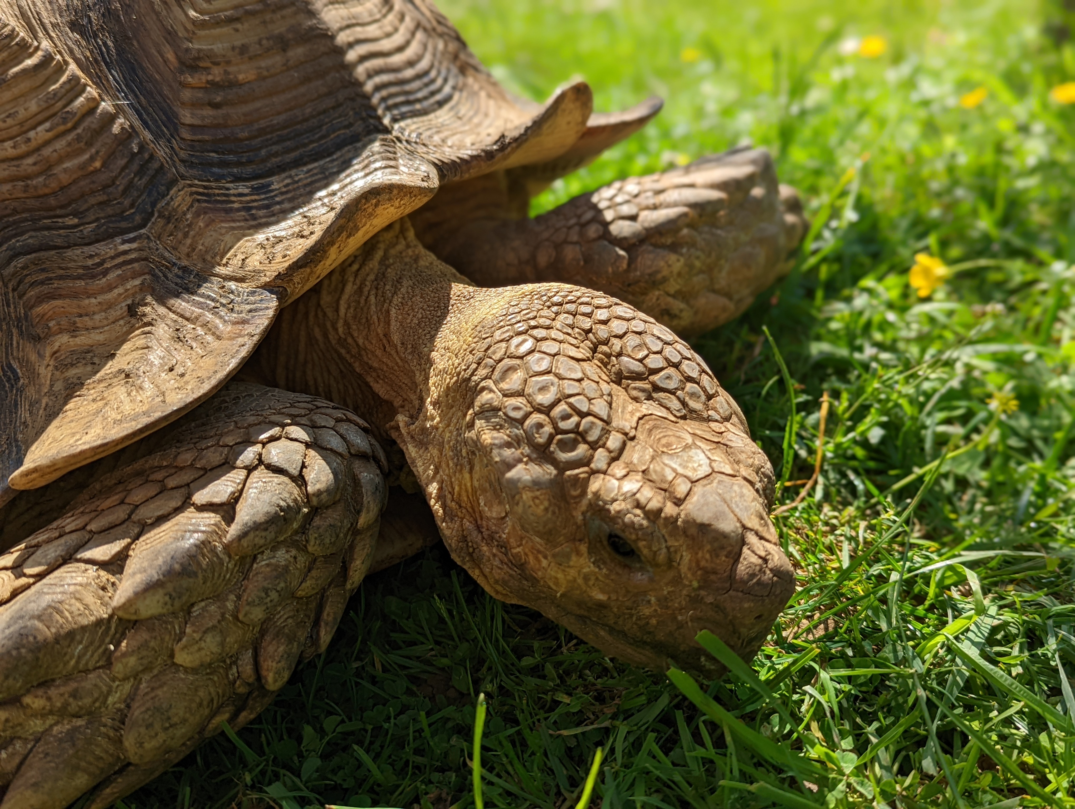 Photo n° 29 de l'avis de Mathieu.I fait le 07/05/2022 à 19:56