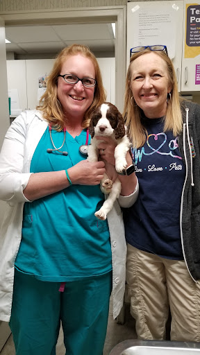 Ashland Terrace Animal Hospital image