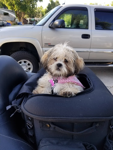 Pet Supply Store «PetSmart», reviews and photos, 750 Main St, Layton, UT 84041, USA