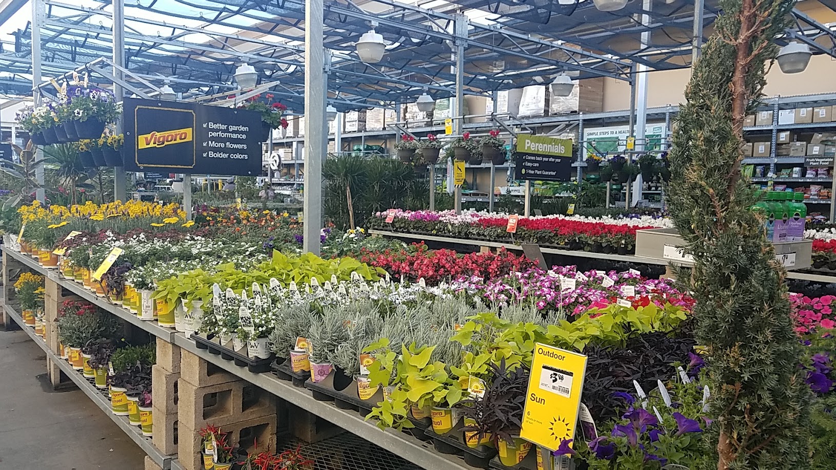 Garden Center at The Home Depot