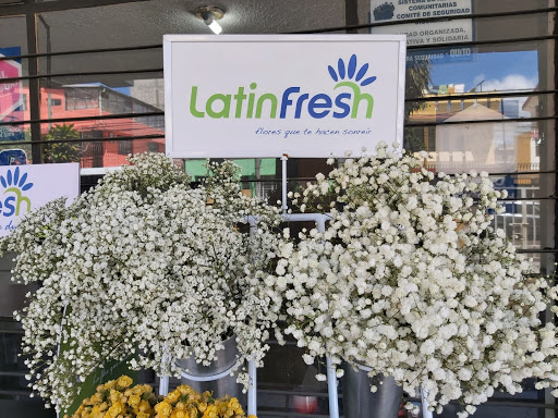 Latinfresh