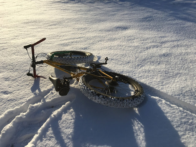 Ideal Bike Wellington