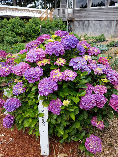 Golf Course «Riviera Community Club», reviews and photos, 11019 Country Club Dr, Anderson Island, WA 98303, USA