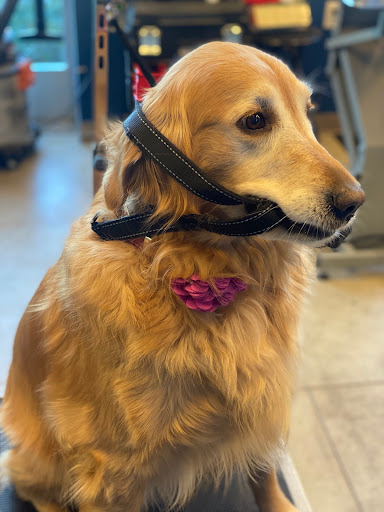 Pet Store «Healthy Pets Mountain West», reviews and photos, 2352 Fort Union Blvd, Cottonwood Heights, UT 84121, USA