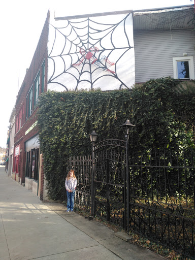 Comic Book Store «Kenmore Komics & Games», reviews and photos, 1020 Kenmore Blvd, Akron, OH 44314, USA