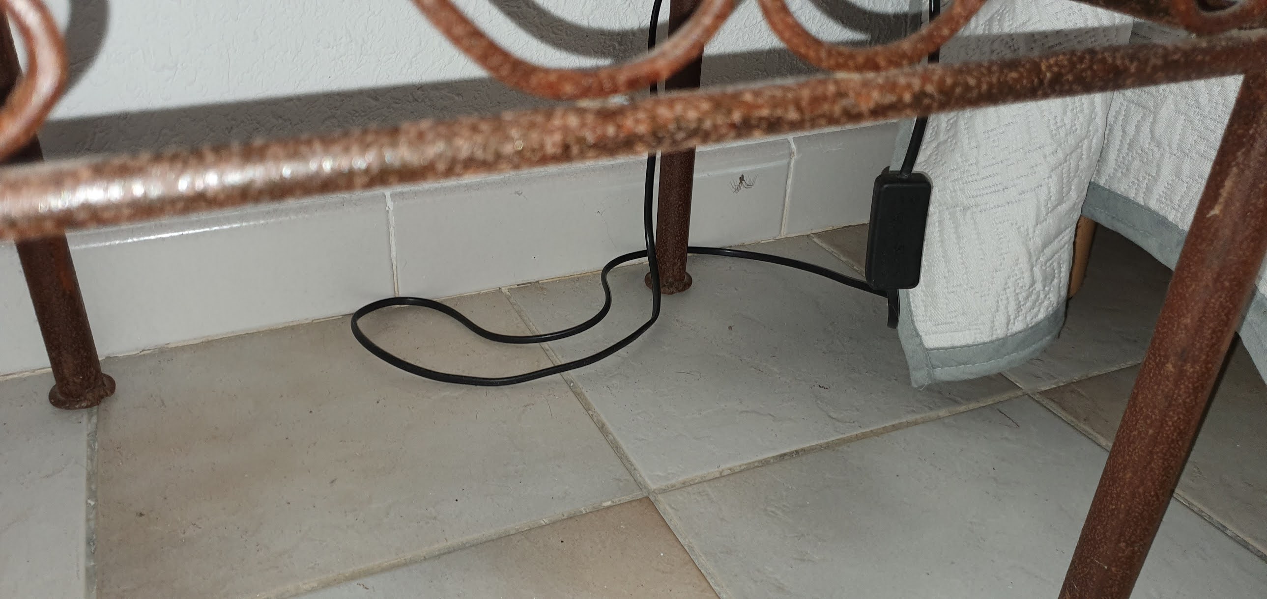 Photo n° 6 de l'avis de Romain.a fait le 22/06/2020 à 08:43