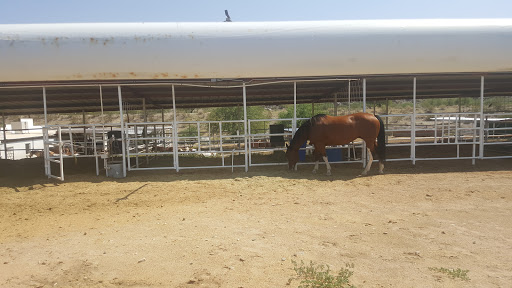 Park «South Mountain Park», reviews and photos, 10919 S Central Ave, Phoenix, AZ 85042, USA