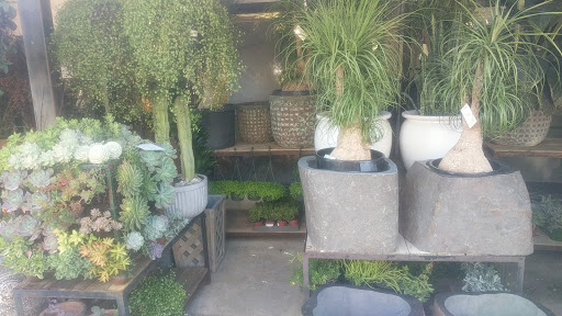 Florist «Empty Vase Florist», reviews and photos, 9033 California Route 2, Los Angeles, CA 90069, USA