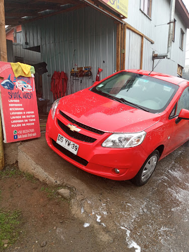 Opiniones de Auto lavado shark wash en Valdivia - Servicio de lavado de coches