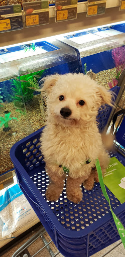 Pet Supply Store «PetSmart», reviews and photos, 4120 E 4th St, Ontario, CA 91764, USA