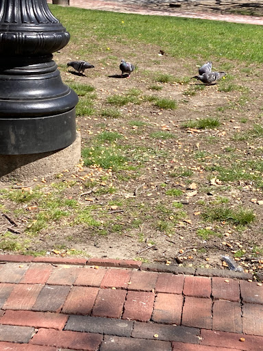 Museum «Linden Place», reviews and photos, 500 Hope St, Bristol, RI 02809, USA