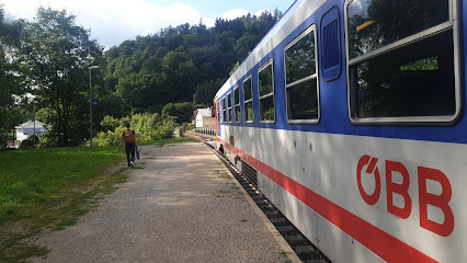 Wiesenfeld-Schwarzenbach Bahnhof