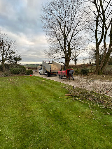 AJM Tree Surgery & landscaping Ltd