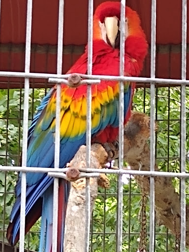 Tourist Attraction «Tree To Tree Cape May», reviews and photos, 707 U.S. 9, Cape May Court House, NJ 08210, USA