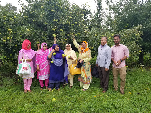 Farm «Fairmount Fruit Farm», reviews and photos, 887 Lincoln Street, Franklin, MA 02038, USA