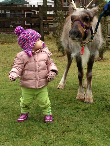 Child Care Agency «Country Childrens Center», reviews and photos, 410 Bedford Rd, Bedford Hills, NY 10507, USA