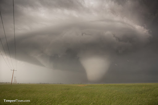 Tourist Attraction «Tempest Tours, Inc.», reviews and photos, 690 E Lamar Blvd, Arlington, TX 76011, USA